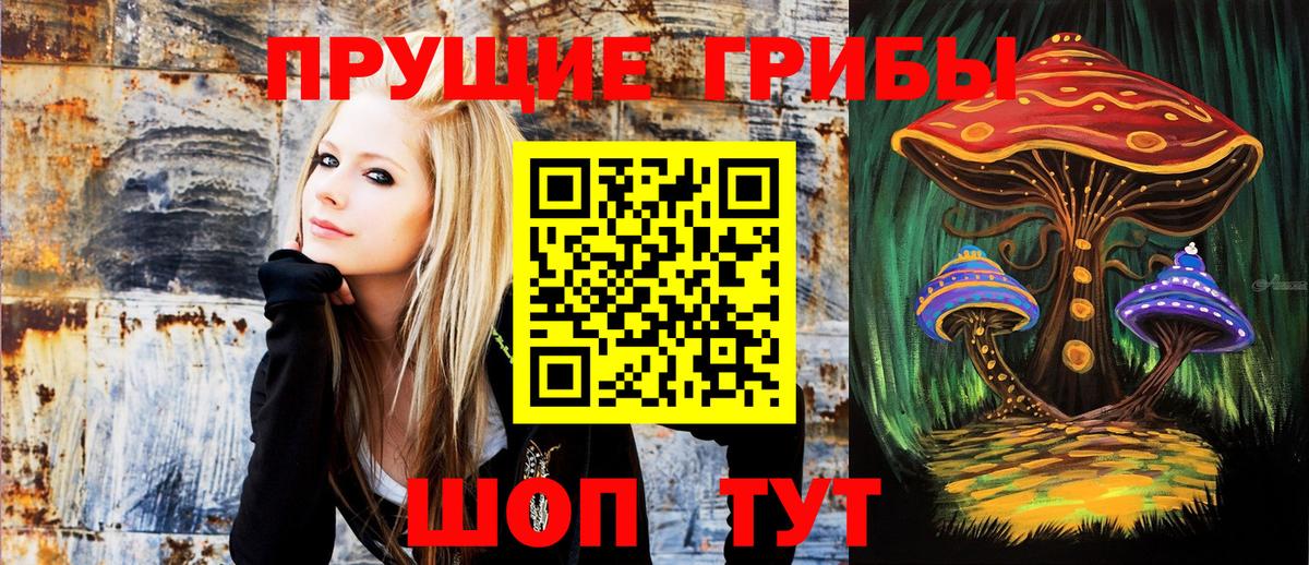 Псилоцибиновые грибы ЛСД Владивосток